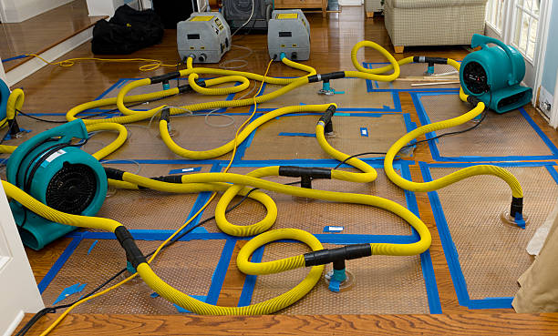 Professional Flood Damage Restoration technician working in Canton, MI